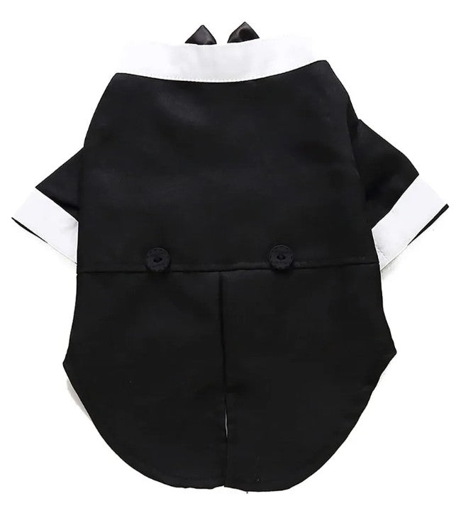 Tuxedo Shirt Black Jacket and Bowtie
