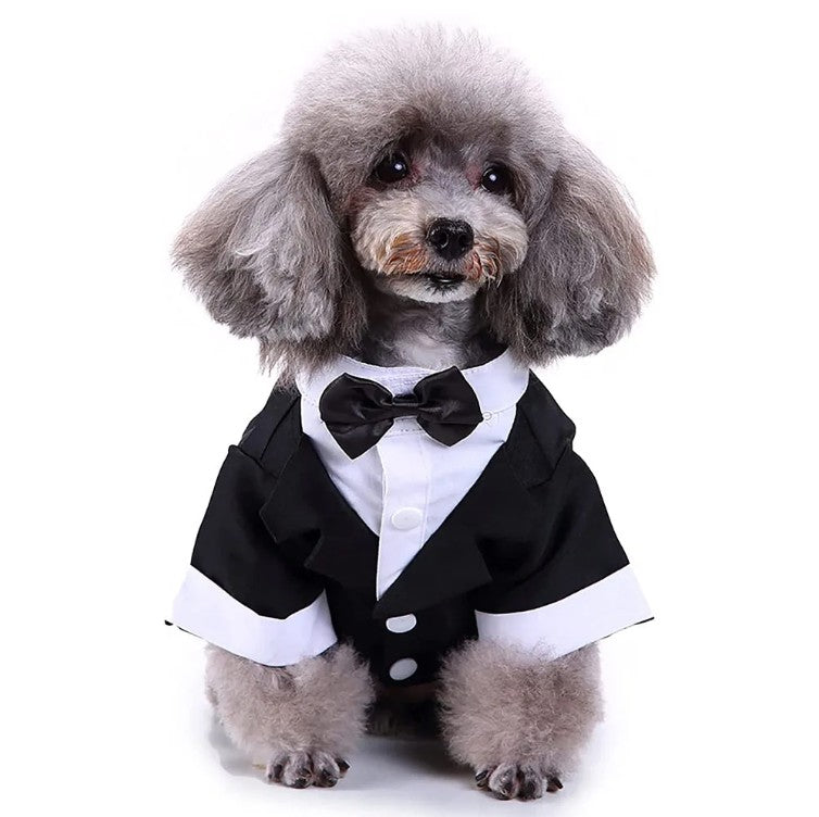 Tuxedo Shirt Black Jacket and Bowtie