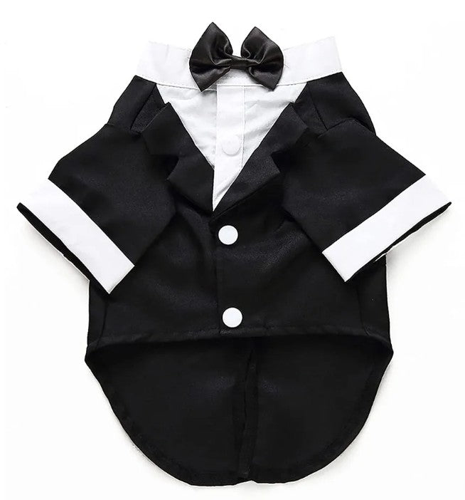 Tuxedo Shirt Black Jacket and Bowtie