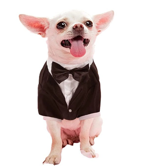 Tuxedo Shirt Black Jacket and Bowtie