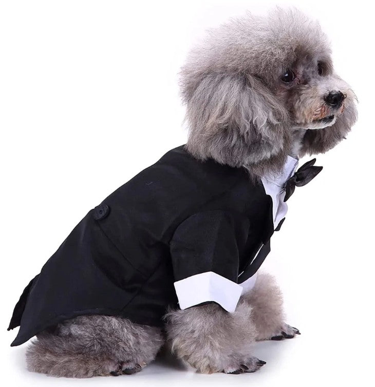 Tuxedo Shirt Black Jacket and Bowtie