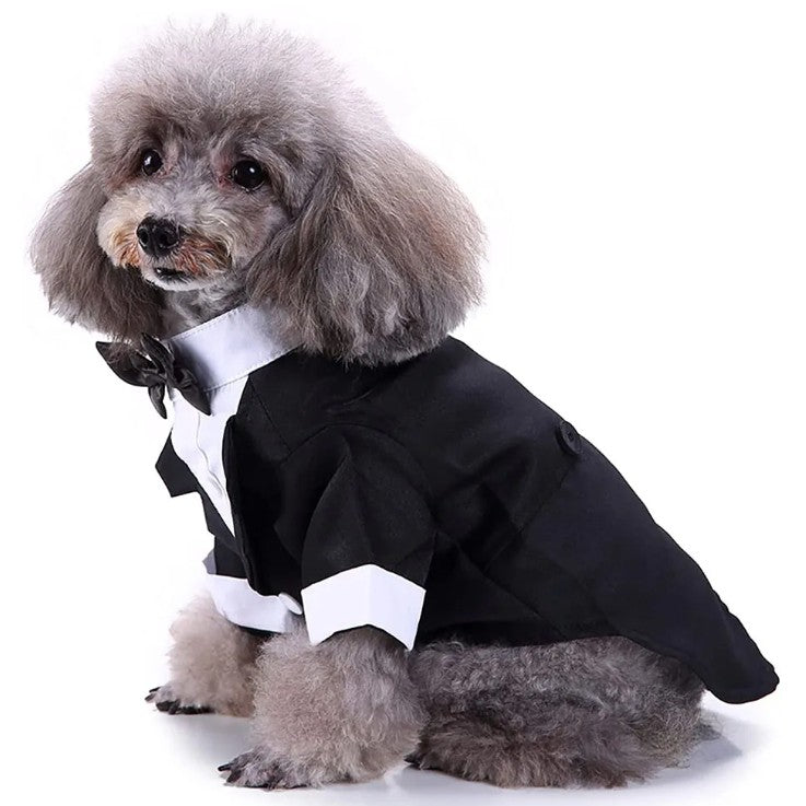 Tuxedo Shirt Black Jacket and Bowtie