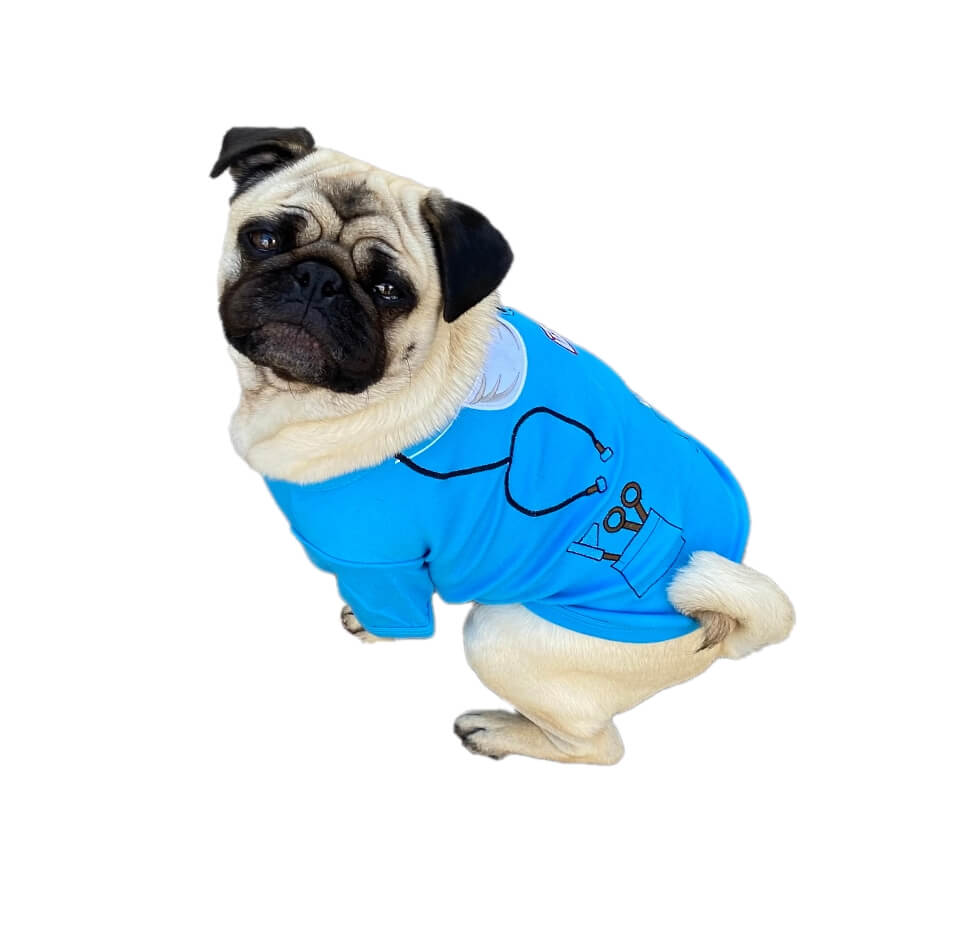 Shirt Blue Dr Woof