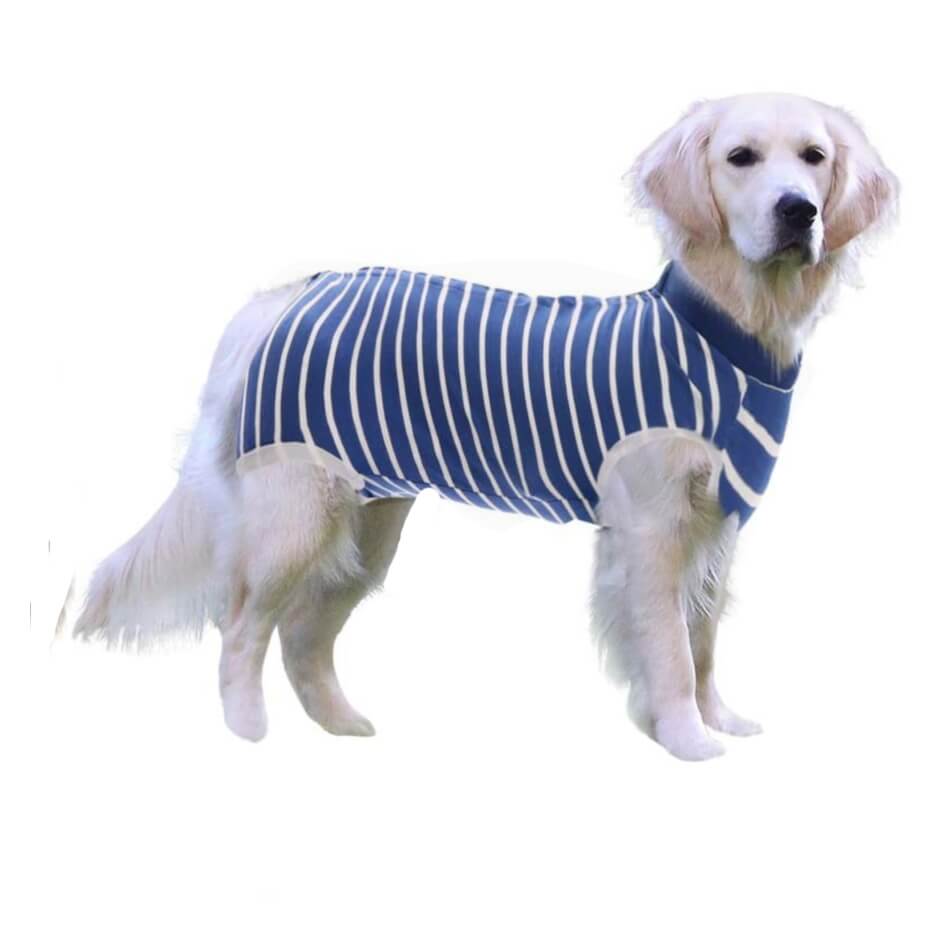 Dog Medical Recovery Jumpsuit Stripes