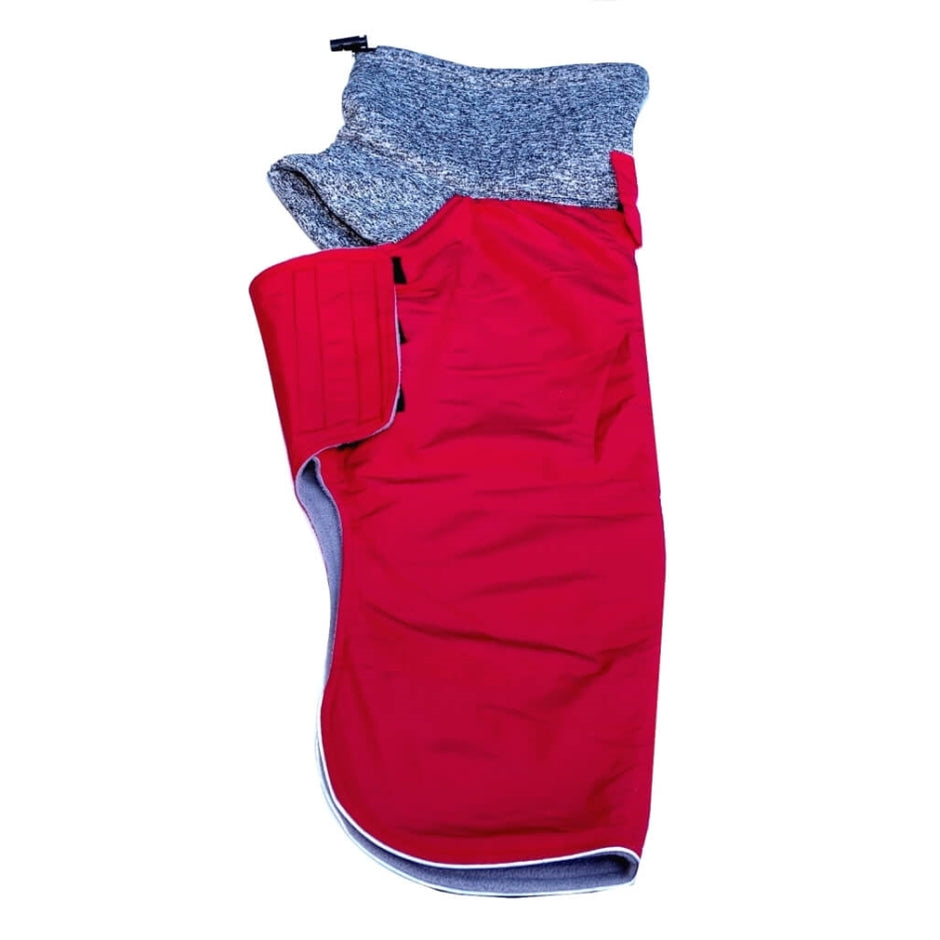 Coat Greyhound Whippet Red