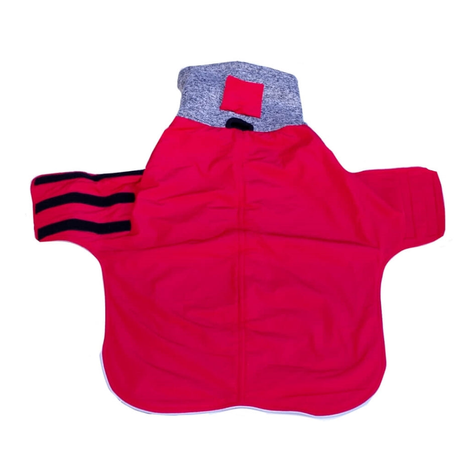 Coat Greyhound Whippet Red