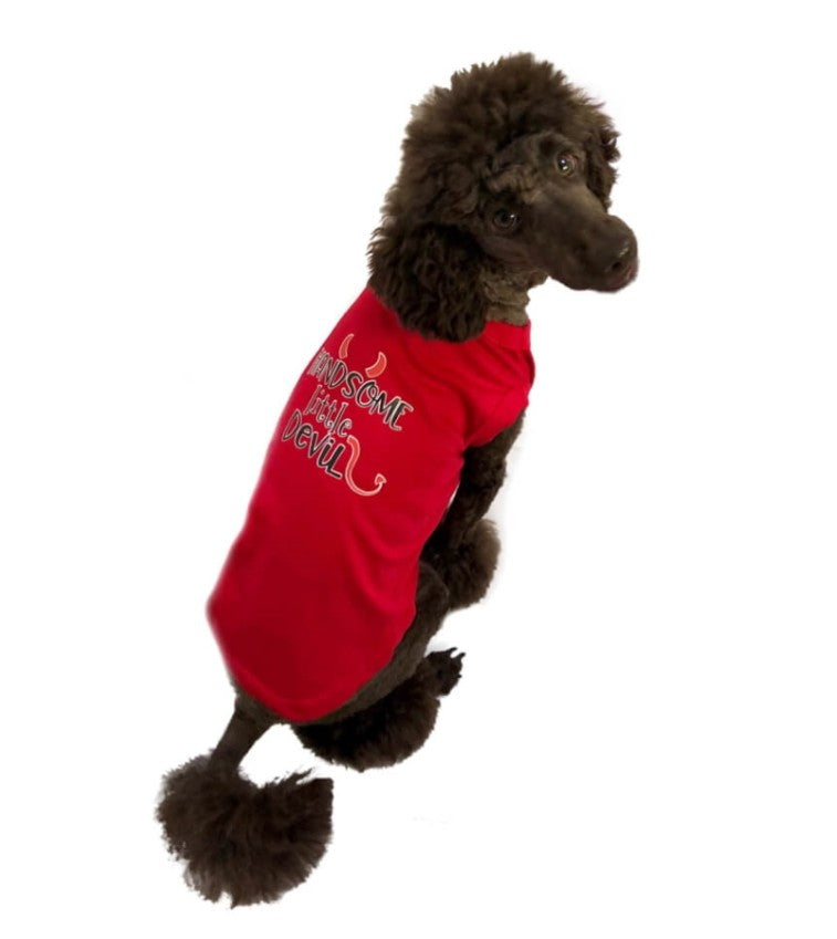 Shirt Red Handsome Devil