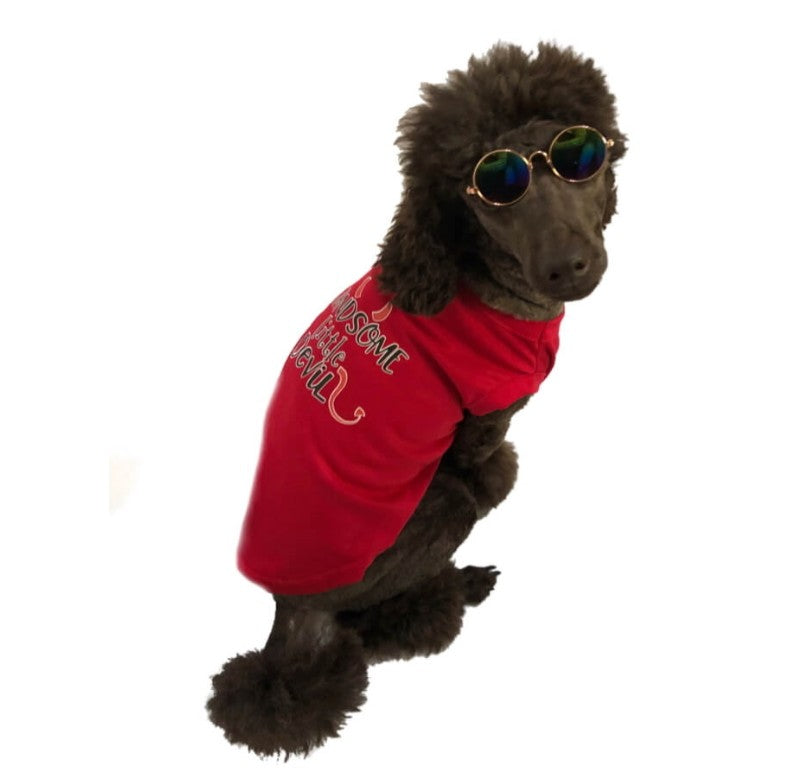 Shirt Red Handsome Devil