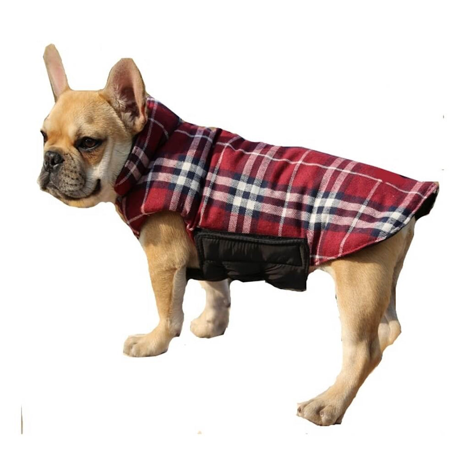Coat Reversible Check