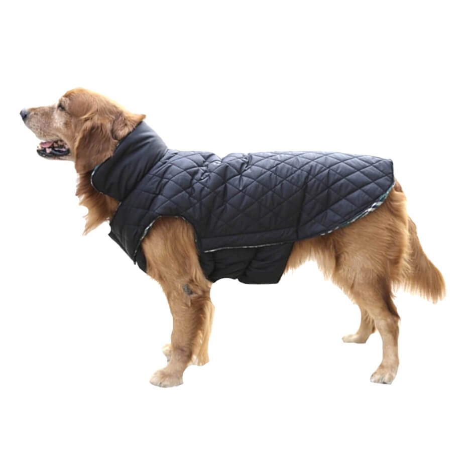 Coat Reversible Check