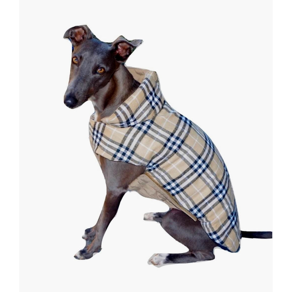 Coat Reversible Check