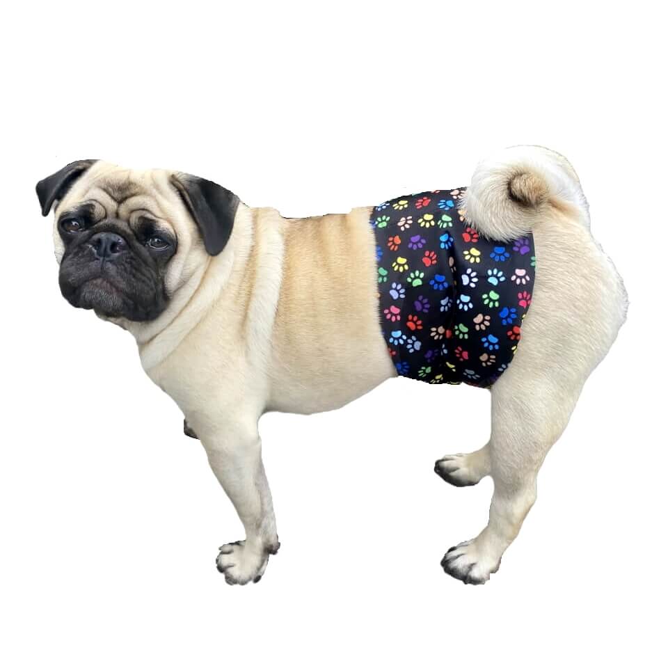 Belly Band Wrap Colourful Paws