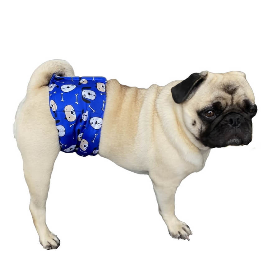 Belly Band Wrap Blue Houndz