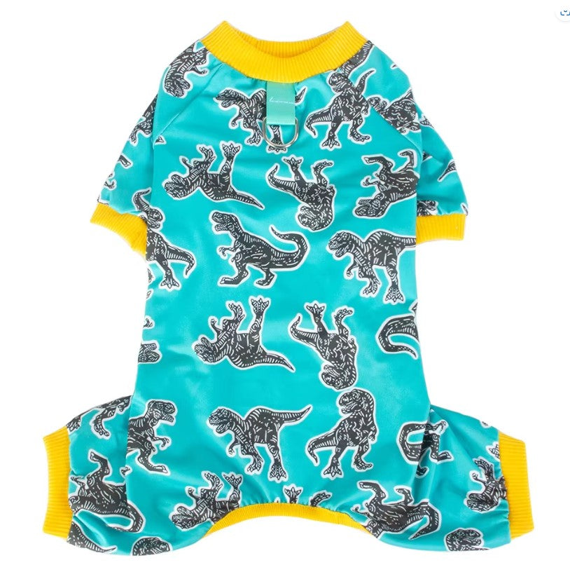 Dog jumpsuit with dinosaur pattern on a turquoise background