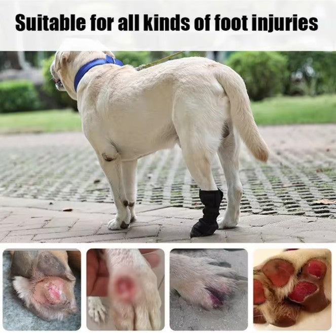 Paw Wound Recovery Non-Skid Waterproof Shoe
