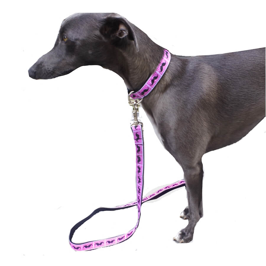 Luxury Collar Including Lead Webbed Pink Moustache