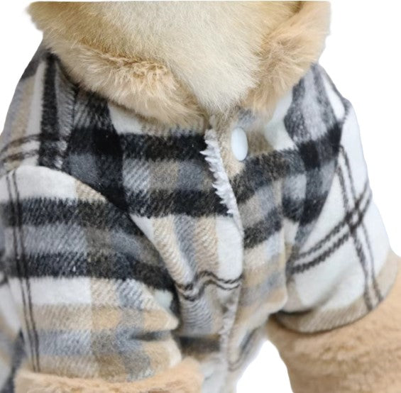 Dog wearing a plaid coat with a hood on a white background