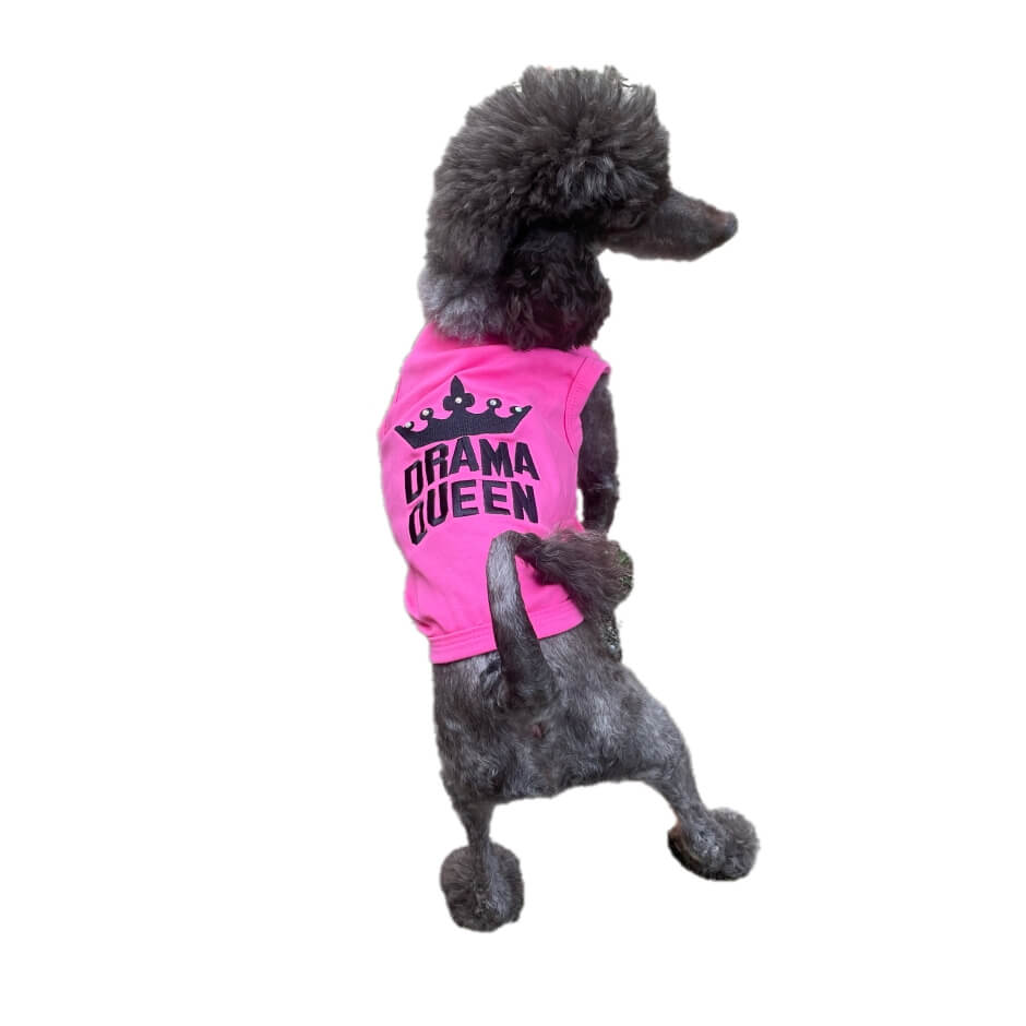 Shirt Hot Pink Rhinestone Drama Queen