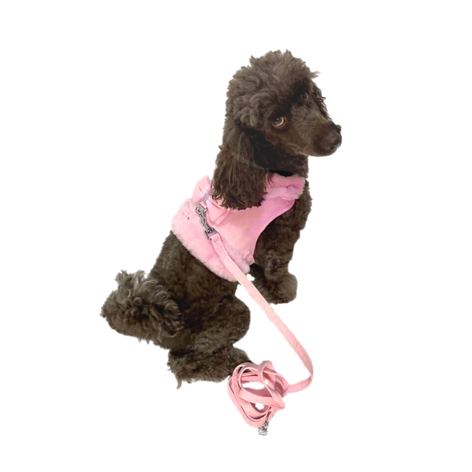 Harness Fur Trim with Lead