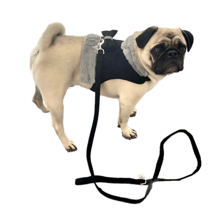 Harness Fur Trim with Lead