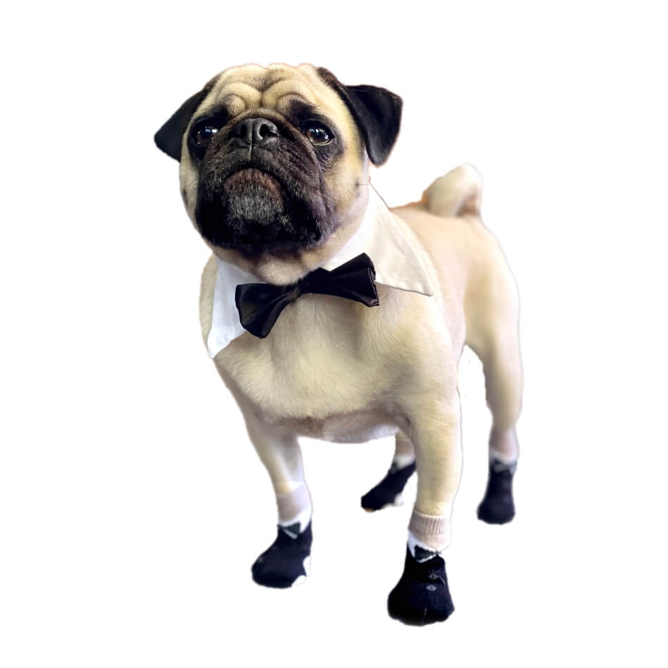 Non-Slip Socks Tuxedo