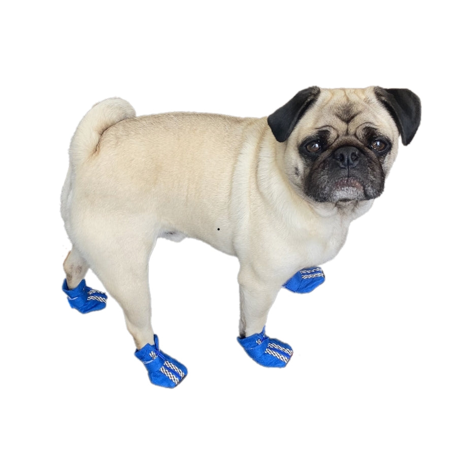 Small Paw Non-Skid Black Slipper Shoes