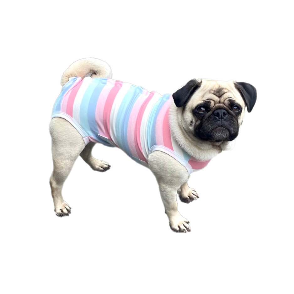 Dog Medical Recovery Jumpsuit Multicolour Stripes