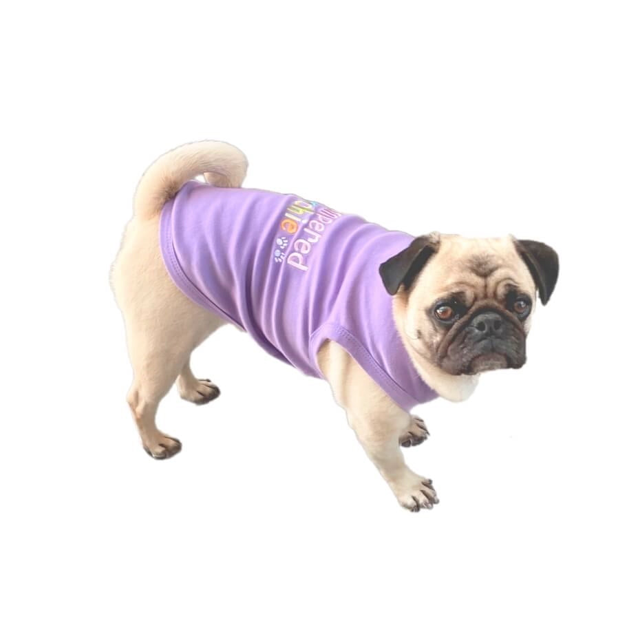Shirt Purple Pampered Poochie