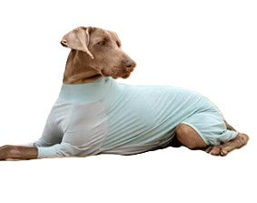 Rash Jumpsuit Sun Protection 50+ SPF