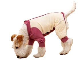 Rash Jumpsuit Sun Protection 50+ SPF