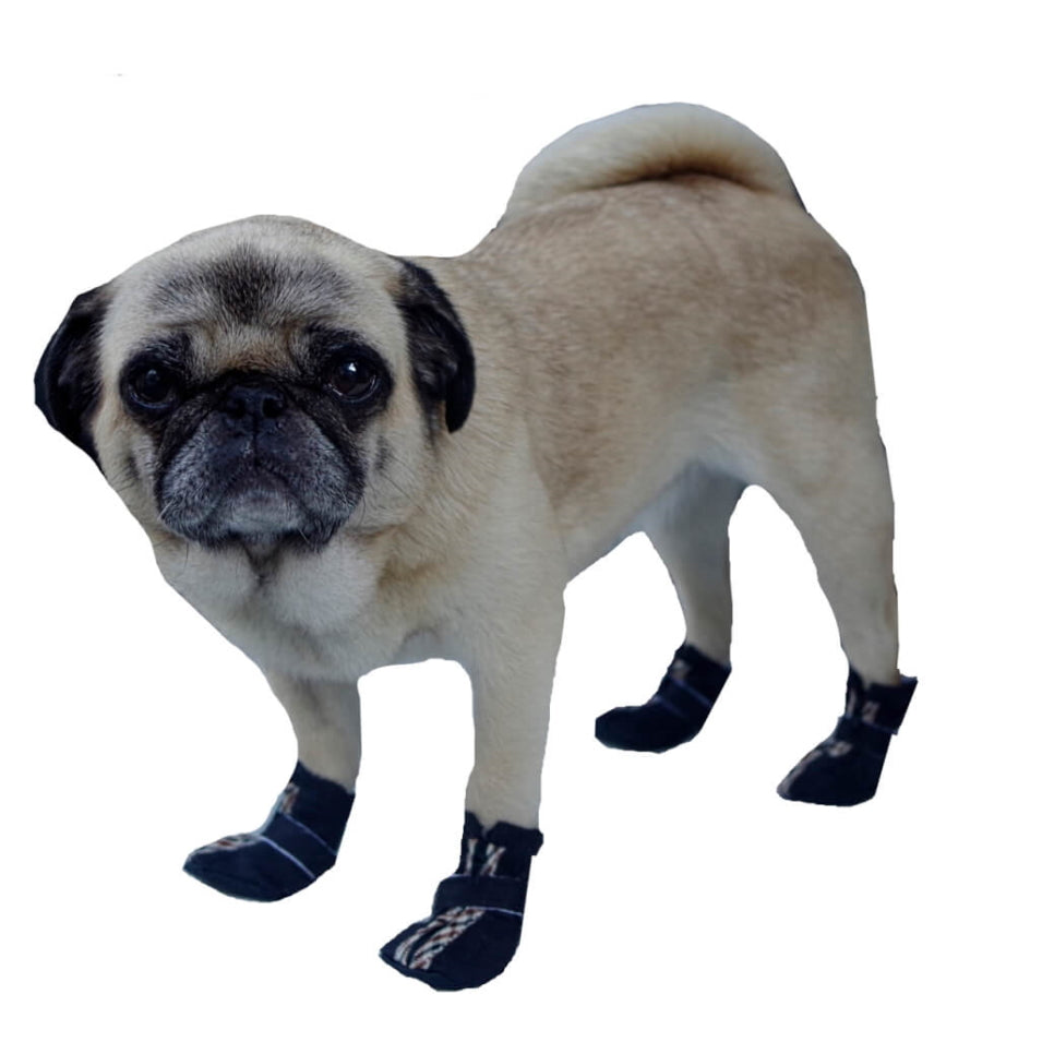 Small Paw Non-Skid Black Slipper Shoes