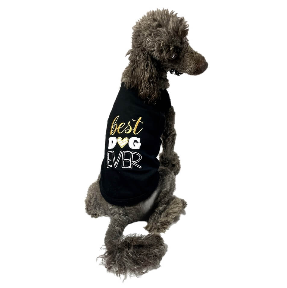 Shirt Black Best Dog Ever