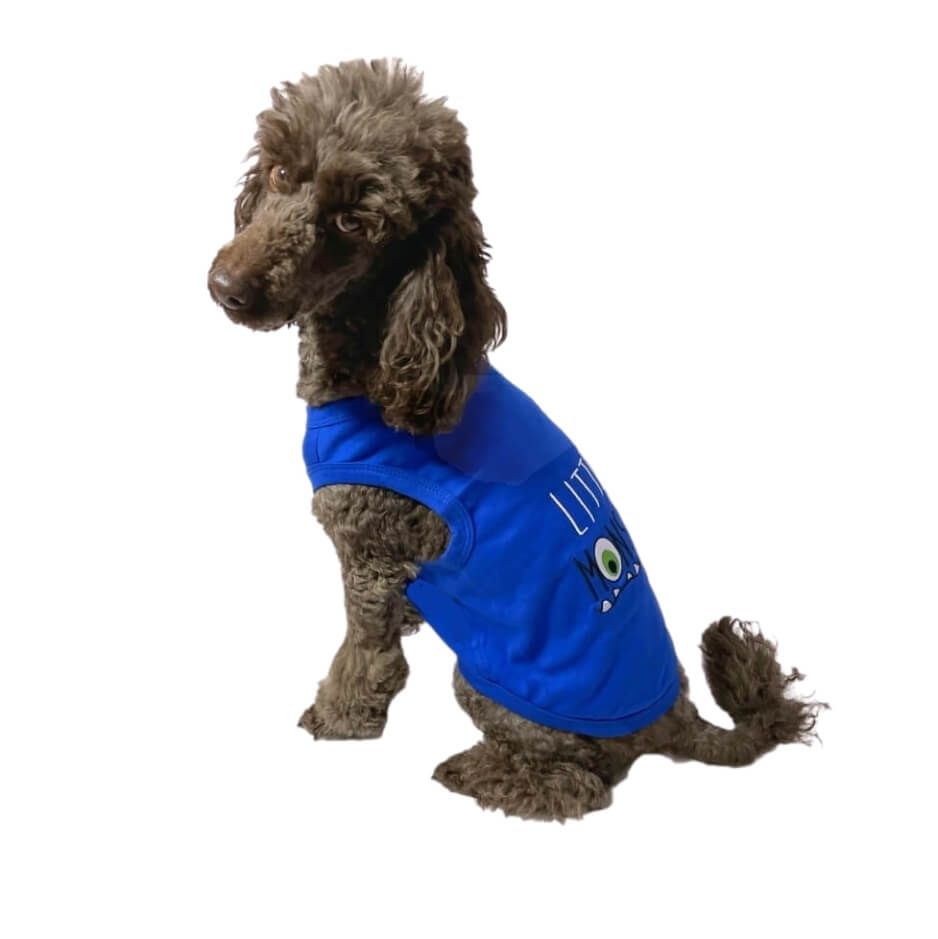 Shirt Blue Little Monster