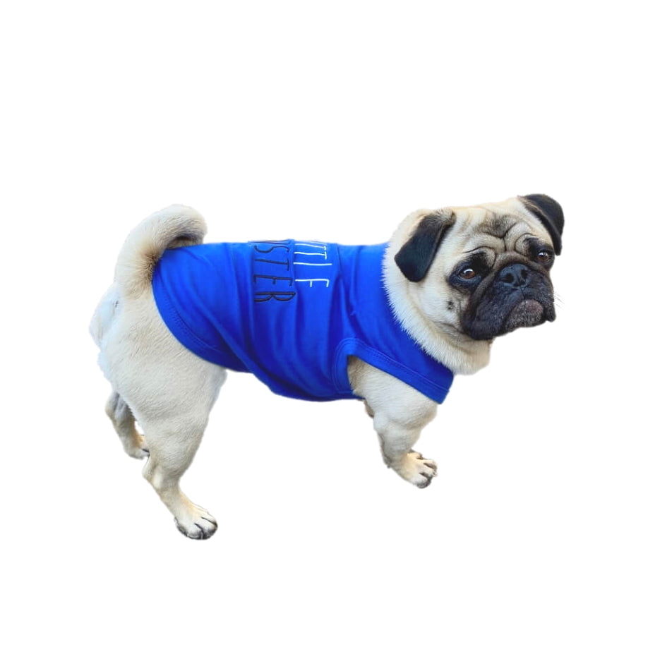 Shirt Blue Little Monster