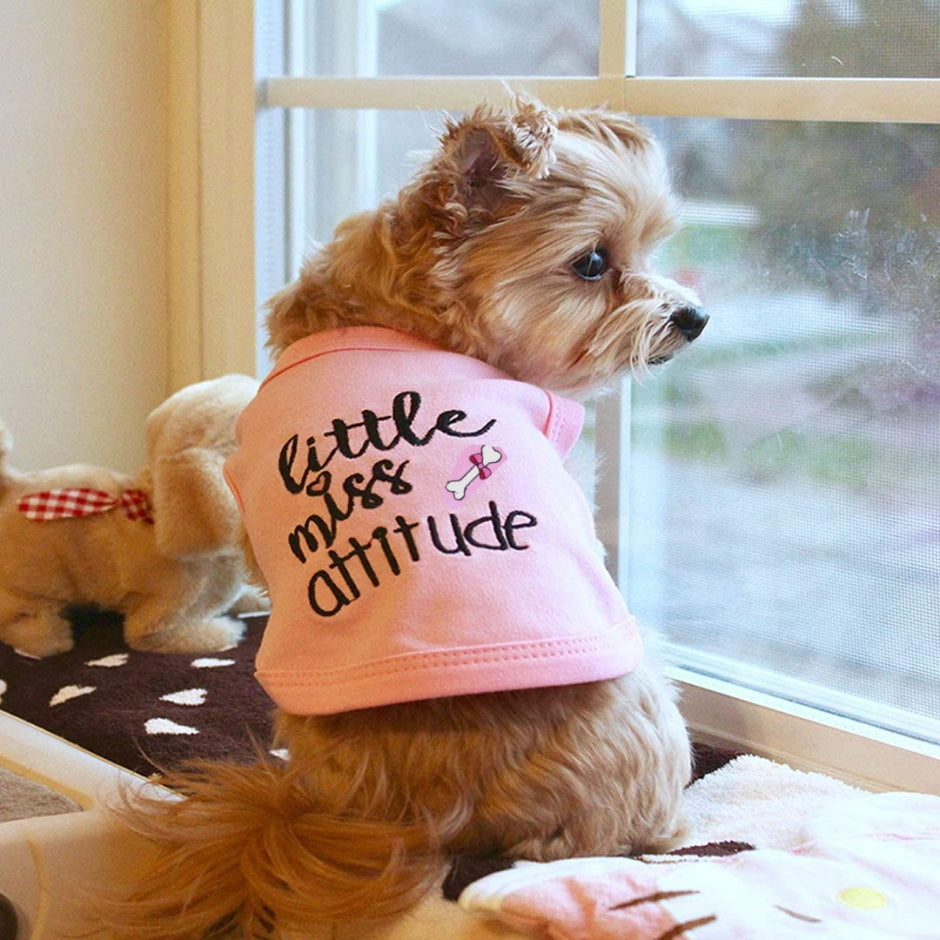 Shirt Pink Little Miss Attitude