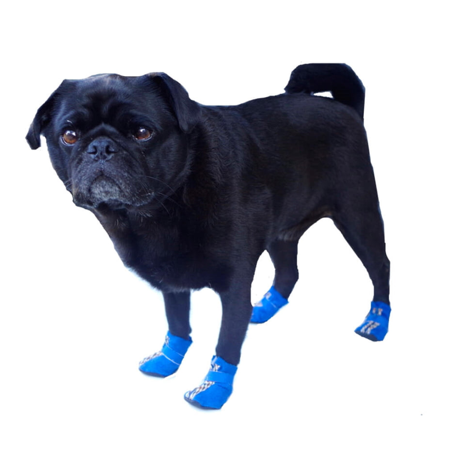 Small Paw Non-Skid Black Slipper Shoes