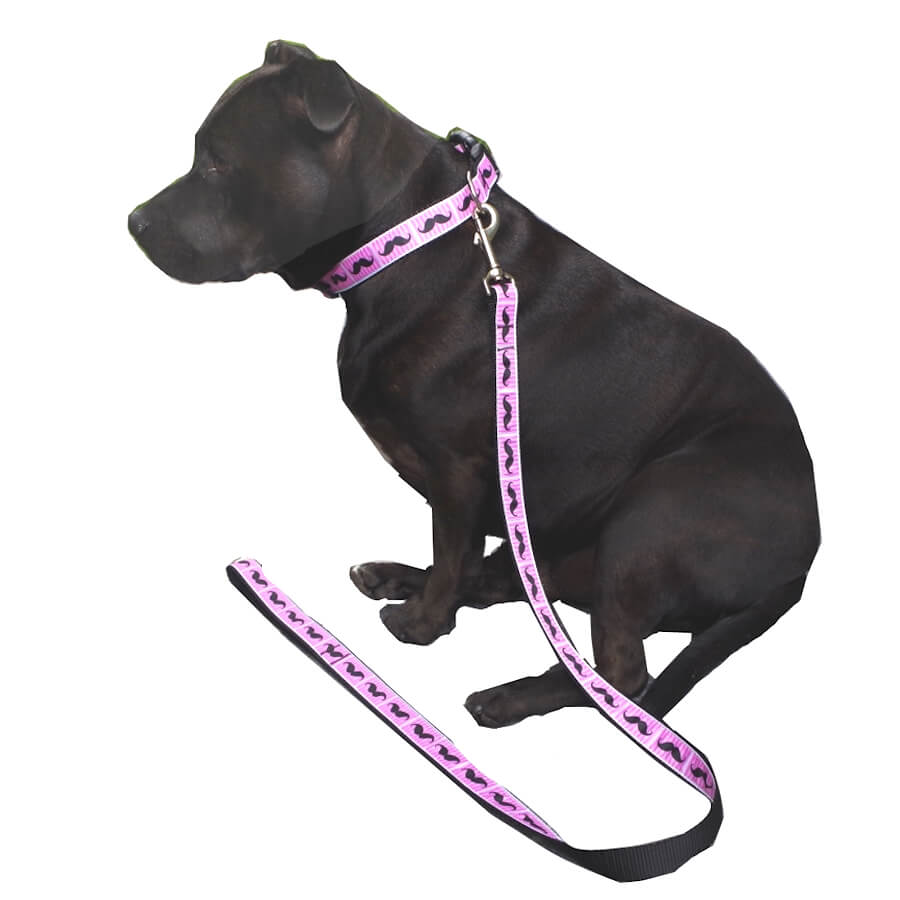 Luxury Collar Including Lead Webbed Pink Moustache