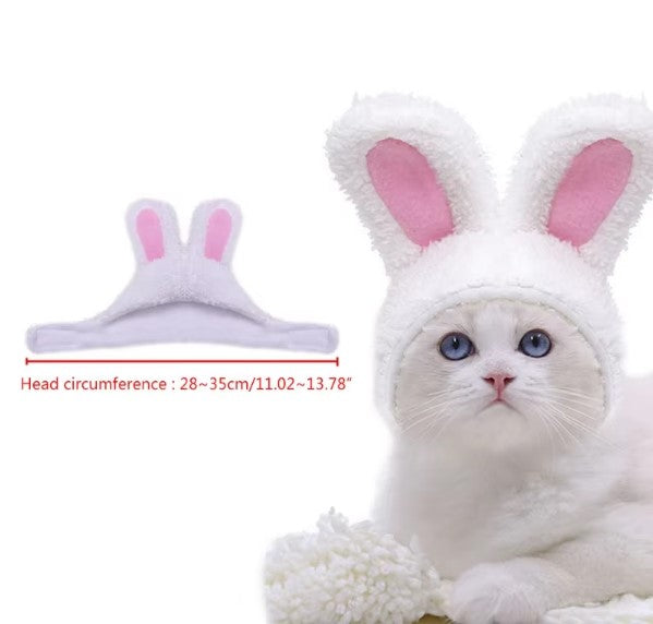 Cat wearing a white bunny costume with pink ears, accompanied by a size chart.
