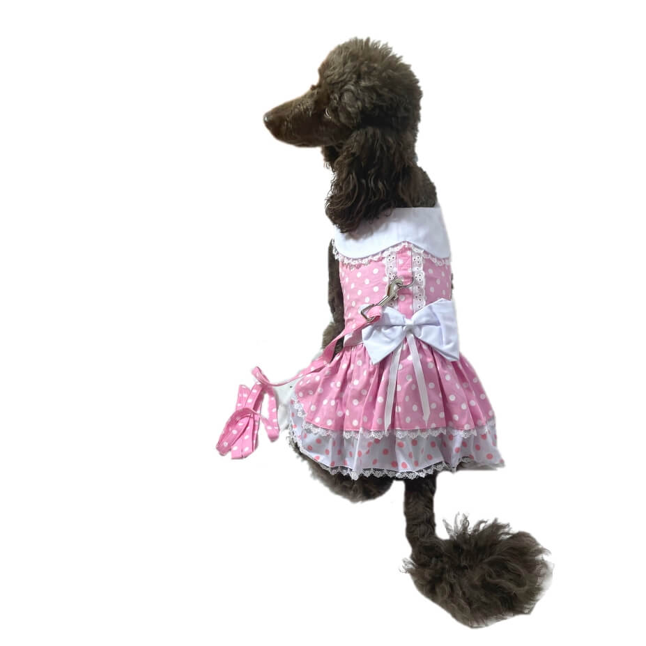 Dress Polka Dots Pink with Matching Lead