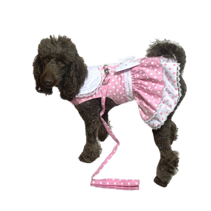 Dress Polka Dots Pink with Matching Lead