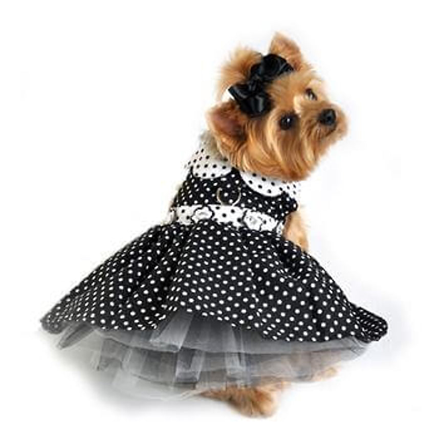 Dress Black Polka Dot with Matching Lead