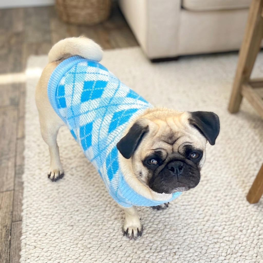 Sweater Plaid Knit