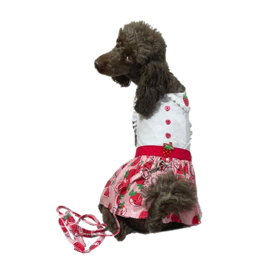 Dress Pink Strawberry Patch with Matching Lead