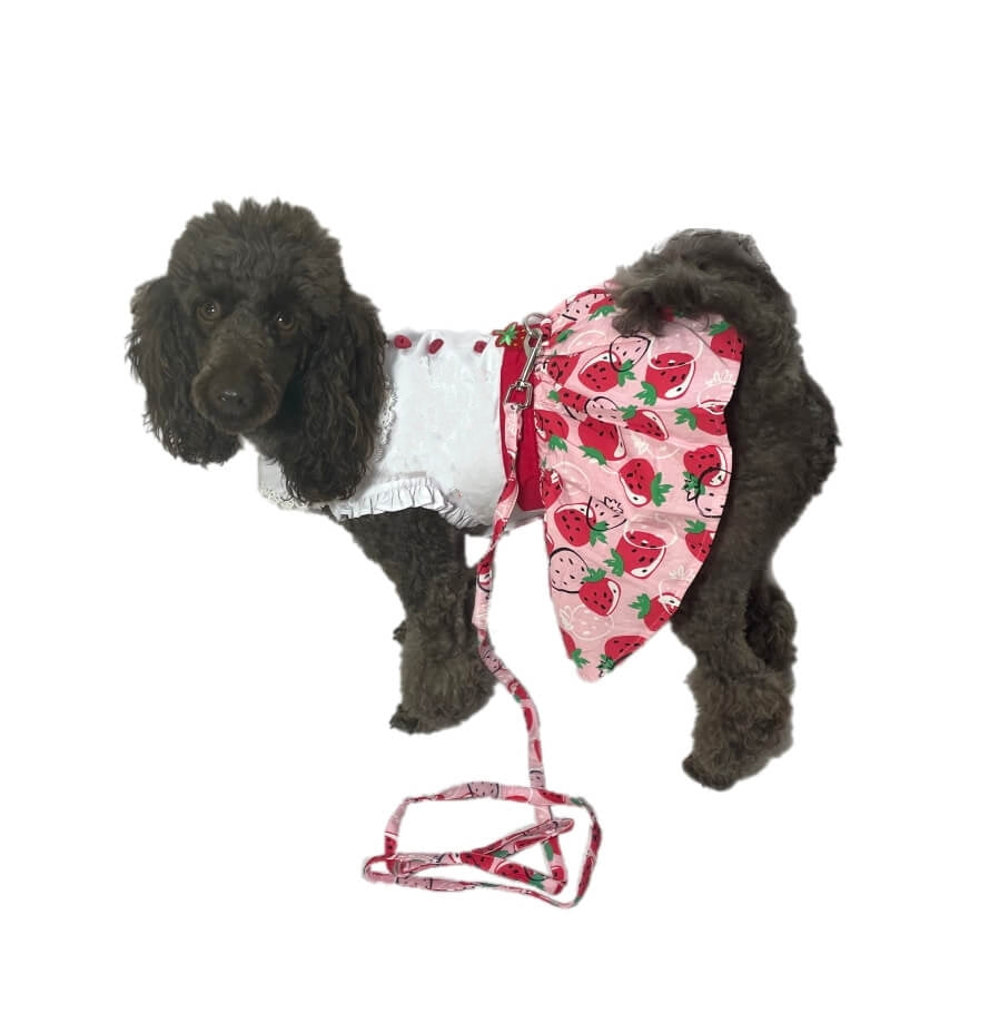 Dress Pink Strawberry Patch with Matching Lead
