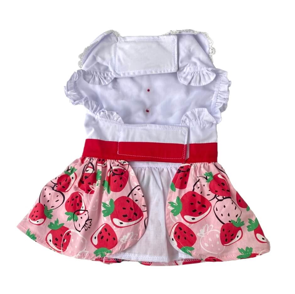 Dress Pink Strawberry Patch with Matching Lead