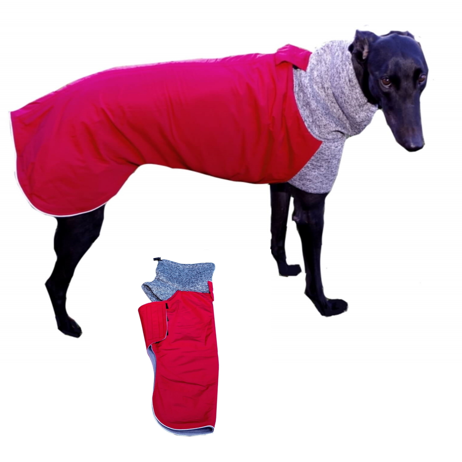 Greyhound Whippet Dog Coat XL 2XL 4XL Jacket Big | eBay