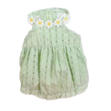 Dog Dress Green Daisy