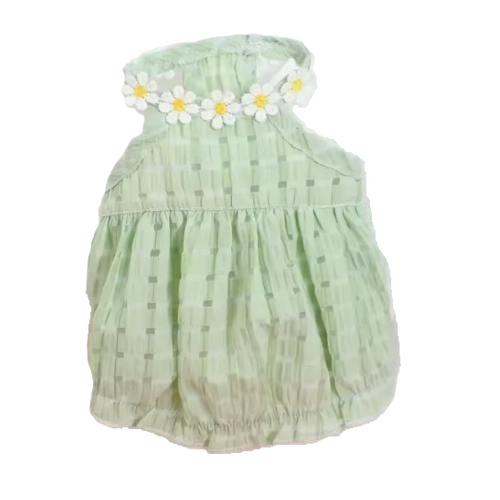 Dog Dress Green Daisy