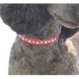 CLEARANCE - Puppy Collars