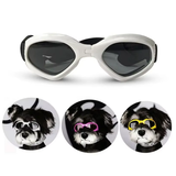 Dog Head Wear & Eyewear